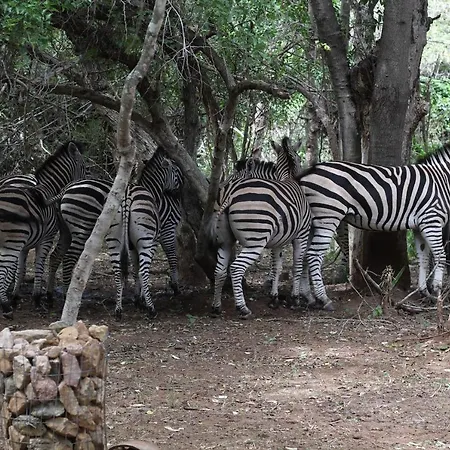 Mellivora Lodge Marloth Park Exterior photo