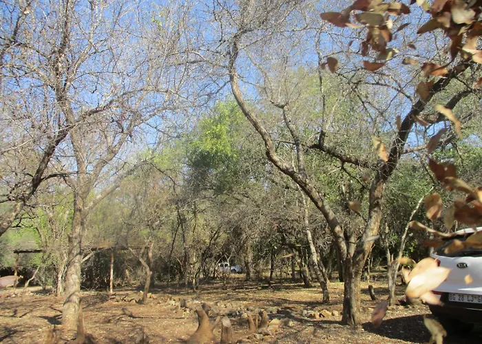 Mellivora Lodge