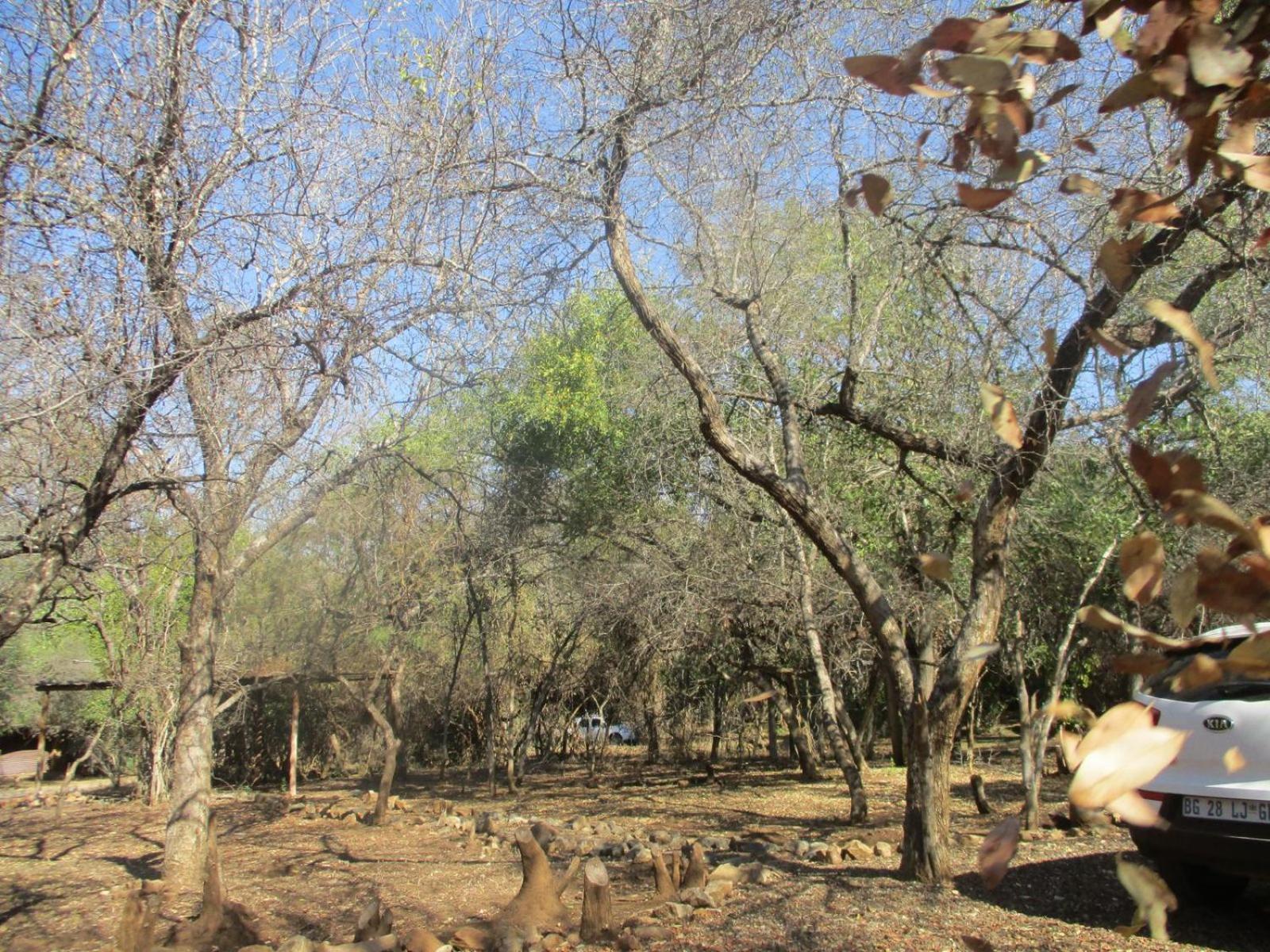 Mellivora Marloth Park
